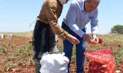 Cumhurbaşkanı Ersin Tatar 14 Mayıs Dünya Çiftçiler Günü dolayısıyla mesaj yayımladı