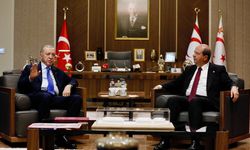 Erdoğan ve Tatar, Cumhurbaşkanlığı'nda bir araya geldi