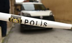 Rahatsızlanarak kazaya neden olan sürücü hayatını kaybetti