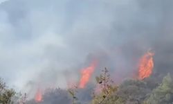 Ciklos'taki yangın nedeniyle Boğaz kavşağı ile Girne alt-üst geçit arası trafiğe kapatıldı