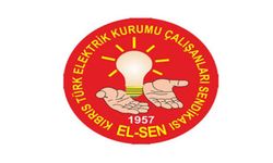 EL-SEN elektrik kesintilerini duyuran internet sitesine getirilen yayın yasağını eleştirdi
