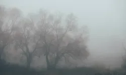Meteoroloji’den tozlu hava uyarısı..