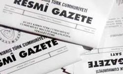 Bakanlar Kurulu, EL-SEN’in Teknecik’teki grevini 60 gün süreyle erteledi