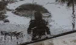 Gelecek haftanın ilk günlerinde yağmur bekleniyor