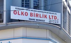 BASS: 'Olko Birlik Ltd. çalışanları işsiz kaldı'