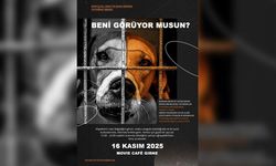 Donskaya'dan sahipsiz hayvanlar yararına sergi: 'Beni Görüyor Musun?' 16 Kasım'da Girne'de