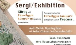 Feza Aygın Sanıvar'ın Süreç adlı sergisi 2 Aralık Salı Günü açılıyor