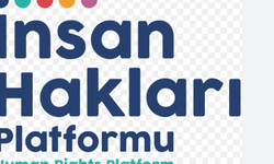 İnsan Hakları Platformu gazetecilere yönelik tehditler için etkin soruşturma istedi