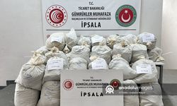 İpsala Sınır Kapısı'nda 2 ayda 503 kilogram uyuşturucu ele geçirildi