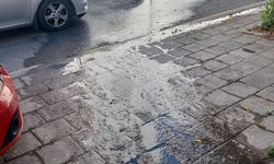 Lefke Çevre ve Ekoloji Derneği: 'Lağım suları halk sağlığını tehdit ediyor'