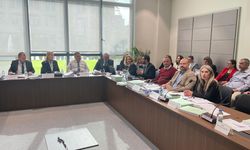 Maliye Bakanlığı bütçesi komitede oy çokluğuyla kabul edildi: