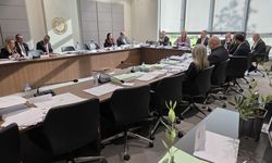 Tarım ve Doğal Kaynaklar Bakanlığı'nın bütçesi 55 milyon TL'lik artışla kabul edildi