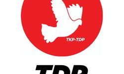 TDP: 'Gazetecilere yönelik tehditler kabul edilemez'