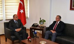 Türkiye Cumhuriyeti'nden Kayıp Şahıslar Komitesi'ne 100 bin dolar katkı