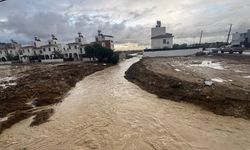 Amcaoğlu, Kanlıköy ve diğer bölgelerde incelemelerde bulundu: 'Üçüncü dalgayı atlattık, dördüncü dalga geliyor'