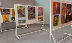 Berna Kelebek'in 'Kelebek Esintileri' resim sergisi Ercan Havalimanı'da açıldı