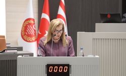 Canaltay: 'Kapsamlı ve modern yöntemlerle yürütülecek bir nüfus sayımına ihtiyaç duyuyoruz'