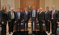 Cumhurbaşkanı Erhürman, YÖDAK heyetini kabul etti