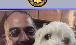 Ozanköy'de sakin Erçin Fevzi kayıp