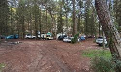 Patika: 'Ormanlar nefes alanlarımızdır, gelir kapısı değil'