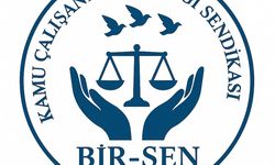 BİR-SEN, Mağusa Vergi Dairesi'ndeki greve destek belirtti