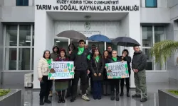 Patika Doğa Sporları Derneği: Ormanlarda ücret uygulaması Anayasa'ya aykırı, keyfî ve belirsiz