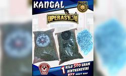 Polisten 'Kangal Operasyonu': Lokmacı'da 1,5 kilo hintkeneviri, hap ve toz madde ele geçirildi