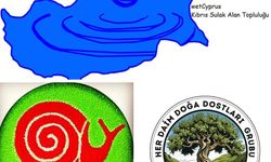 Salamis bölgesinde kuş gözlemi düzenleniyor