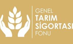 Sebze ve meyve don zararları ödendi