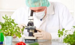 Gıda denetimleri: 6 yerli üründe limit üstü bitki koruma ürünü tespit edildi