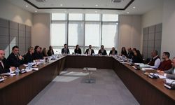 İdari, Kamu ve Sağlık İşleri Komitesi, Bütçe Dairesi ile BRTK yasa tasarılarını görüştü