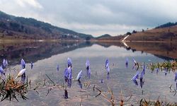 İkinci cemre suya düştü