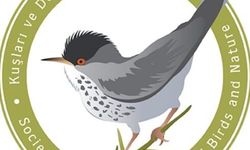 KUŞKOR İnce Av'ın mart ortasına uzatılmasının yaban hayata zarar vereceği uyarısında bulundu