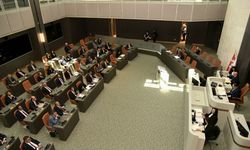 Meclis Genel Kurulu'nda ekonomi, sağlık, spor ve Kıbrıs konusu konuşuldu