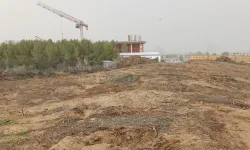 Yeşil Barış Hareketi: İskele'de denize sıfır 21 dönüm orman rant uğruna yok ediliyor