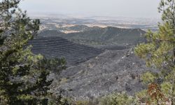 Gençlik Federasyonu alçak orman arazileri yasa değişikliğinin tekrar değerlendirilmesini talep etti