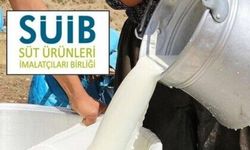 Süt Ürünleri İmalatçılar Birliği: 'Sektörün ayakta kalabilmesi için acil politikaların derhal hayata geçirilmesi gereki