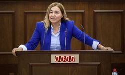Yasemin Öztürk: İTÜ bir CTP projesi, Genel Kurulda geri adım atmayacağız