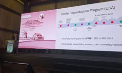 Çavuş: Bilim ve yenilik hayvancılığın geleceğini belirleyecek