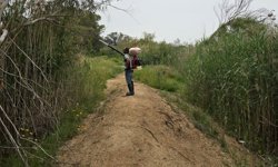 GMB kent genelinde sivrisinekle mücadeleye devam ediyor