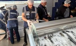 Gönyeli ve Alayköy bölgesindeki su ürünleri perakende satış yerleri denetlendi