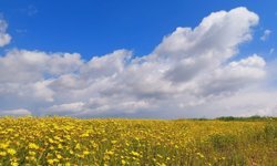Hava sıcaklığı yükselerek, 24-27 derece dolaylarında seyredecek