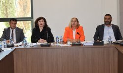 Hukuk, Siyasi İşler, Dışilişkiler ve Savunma Komitesi bir öneri ve dört yasa tasarısını Genel Kurul'a sevk etti