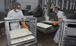 KTSO: 'Yeşil Hat üzerinden hellim ihracatındaki engel kalkıyor'