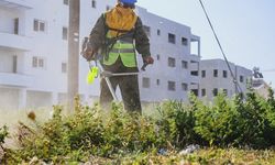 LTB kapsamlı temizlik başlattı