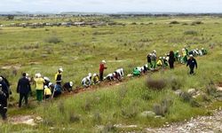 Mesarya bölgesinde 1000 fidan dikildi