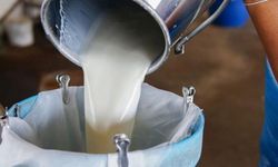 Süt bedelleri ödendi
