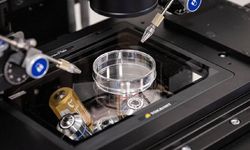 TDP Sağlık Komitesi: 'Tüp bebek merkezleriyle ilgili iddialar derhal araştırılmalı'