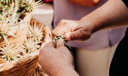 Yiğitler Gafgarıt Festivali 5 Nisan'da yapılıyor