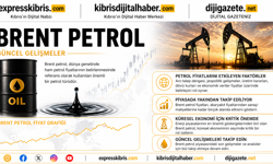 Brent petrolün varil fiyatı 113,76 dolar